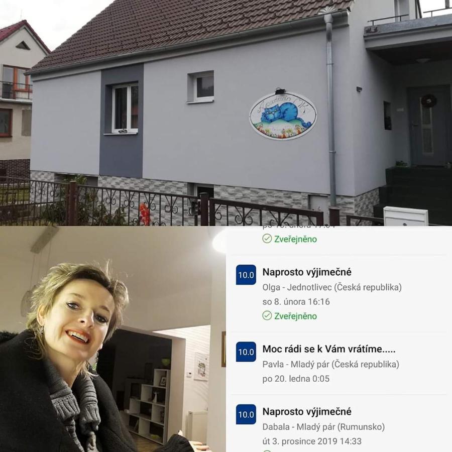 Apartmany Mk U Modre Kocky Nové Hrady المظهر الخارجي الصورة